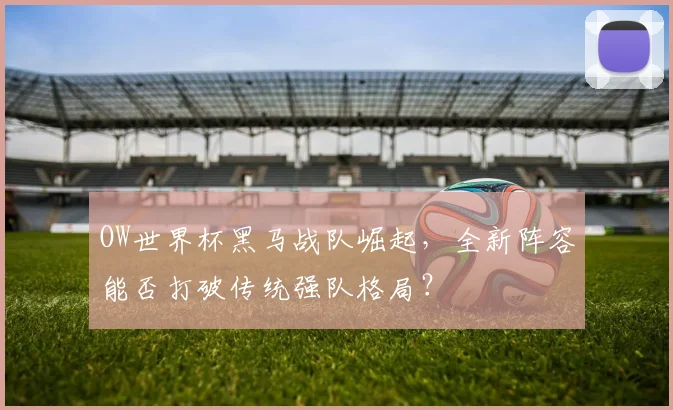 OW世界杯黑马战队崛起，全新阵容能否打破传统强队格局？