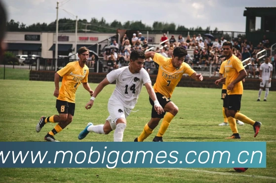 安博站官网入口平台生态图